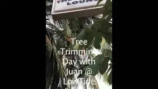 Coconut TreeTrimming. Esterillos Oeste, Costa Rica- music Pleasure Device