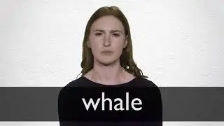 How to pronounce WHALE in British English