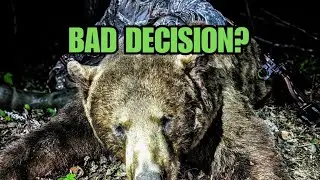 1st Day Success and Why You Should do the same! #bearhunting #canadahunting #bowhunting