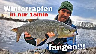Winter Rapfen in nur 15 Minuten fangen!