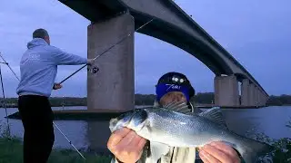 Estuary Bass Fishing On The River Orwell - Sea Fishing UK