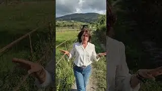 Venta Chalet en Cantabria