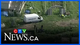 Ont. police find 2,000 plants at marijuana grow-op