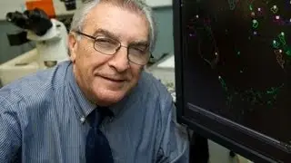 CardioVascular Research