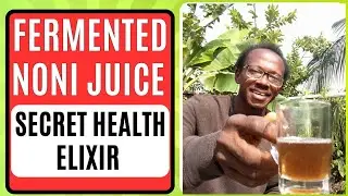 Unlock Amazing Health Benefits with Fermented Noni Juice (Full DIY Guide)