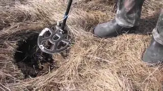 Поиск чешуи на выбитой корчме. Тесоро Тежон.