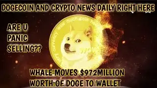 GET YUR FRIDAY NIGHT DOGECOIN UPDATE RIGHT HERE GUYS🤔💎🙌