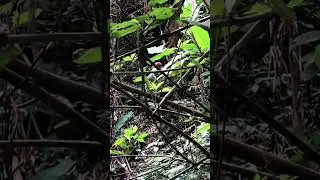 #Survival #camping