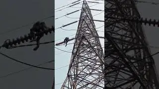 220KV MULTI CIRCUIT TRANSMISSION LINE #transmissionline #electrical #construction