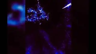 Dj Imminent audio/antisocialmedia941 video