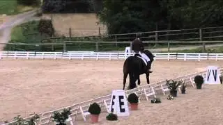 Drezura 5letí koně - finále KMK Zduchovice 2015