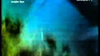 rally crash001