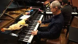 Detalhes! #robertocarlos #uhlik #pianodecauda #detalhes #inspiração #autodidata #fritzdobbert  #amor