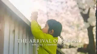Cinematic Vlog /  THE ARRIVAL OF SPRING -春の到来- 子供との日常をシネマティックに　shot by sony FX3