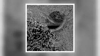 Hans Castrup - Cell Information