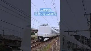 【JR阪和線】特急パンダくろしお26号(+増結)新大阪行　 #鉄道 #電車 #和歌山市 #特急くろしお #パンダくろしお