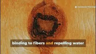The Lost Viking Method to Waterproof Wood Naturally9