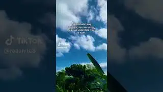 #northcebu #Flase#subscribers