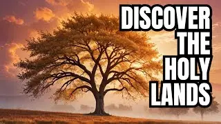 The Holy Lands: A Journey To Earth's Most Sacred & Contested Ground
