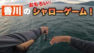 高水温で活性の低い鯛をシャローで狙う‼︎