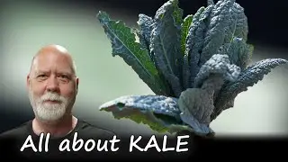 Kale 101: Grow, Cook, and Preserve This Superfood