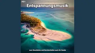 Stille Emotionen