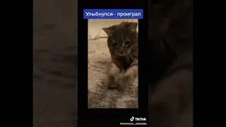Memes compilation 7