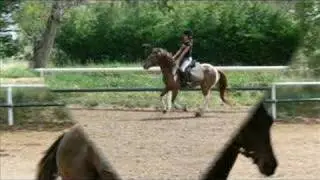 quiproko et moi