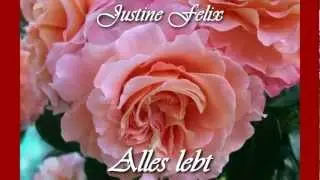 Alles lebt - Justine Felix
