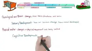 Developmental stages and domains - Intro to Psychology