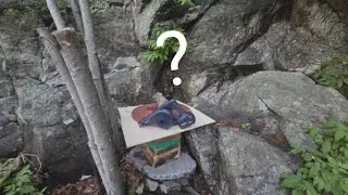 벌통청소 꿀아이템? 에어건의효능~~청소는필수입니다,