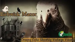 Birbwick Manor👻Creepy-Cute Ghostly Music for Birds🕯️Vintage Haunted Vibes for Your Bird Room Buddy🎃