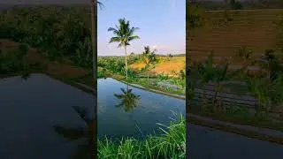 Endahna Alam Desa#shorts #kampungsunda #desasunda #titipkaangin