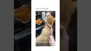 Impressive sound at the end