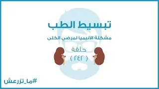 تبسيط الطب | علاقة الأنيميا بمريض الكلى