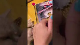 The paw print 🐾  Texas J&rsquo;s Puzzle 🐈A Memory for Ever❤️