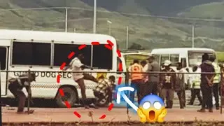 Drunkard Driver Got Bitten Up By Guard Dogs Security Guards 