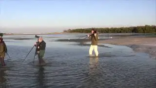 Florida Bird Photography Tours.com 2011.wmv