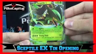 Pokemon Cards - Sceptile EX Tin Opening