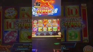 Mustang Fever Amazing Bonus!  #jackpot