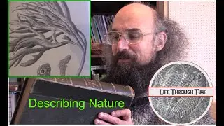 Describing Nature: the dying art of taxonomic monographs