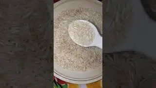 LONG GRAIN BASMATI RICE EATING RAW RICE 🍚🌾🍚 #basmatirawriceeating #mukbangbasmatibaru #basmatirice