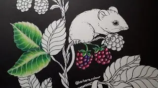 Live Colouring : Blackberries in Nightfall by Maria Trolle
