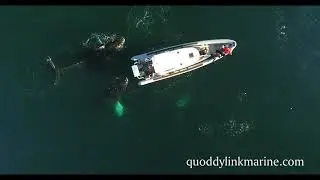 Quoddy Link Marine - An Experience Like No Other