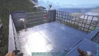 Ragnarok Fight Night