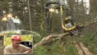 Career Profile, Forestry Equipment Operator