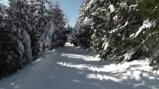 Bežky Šachtička smer Donovaly / cross country skiing Šachticka direction Donovaly