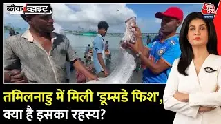 Black and White: Ramanathapuram में मिली 'Doomsday Fish', क्या यह किसी आपदा का संकेत है?