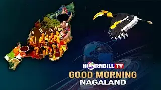 MORNING PULSE || 19th JANUARY 2026 || HORNBILL TV