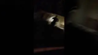 Ontel security on the job?